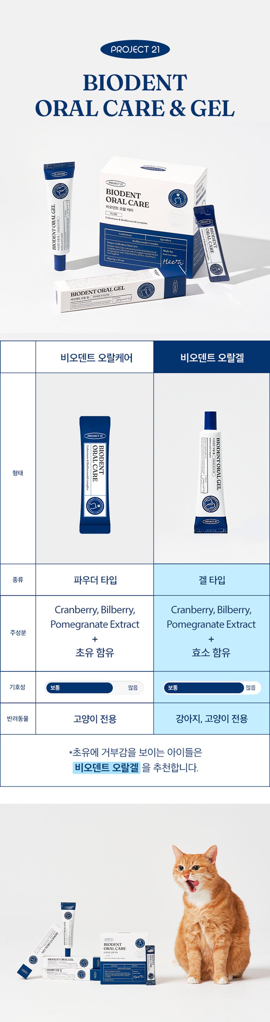 프로젝트21 비오덴트 오랄겔 40g 25번째