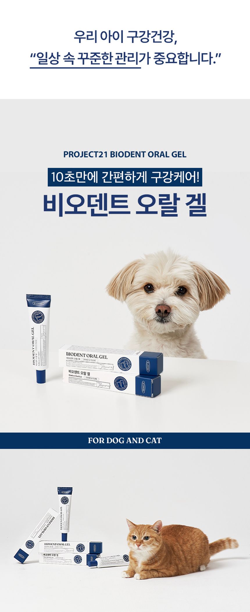 프로젝트21 비오덴트 오랄겔 40g 11번째