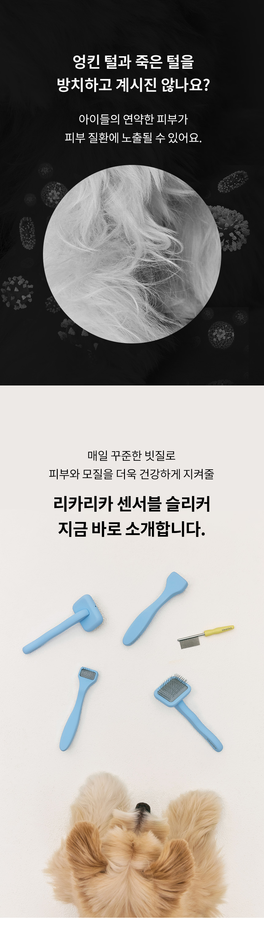 [NEW신상][무료배송] 리카리카 센서블 슬리커 2종 1번째