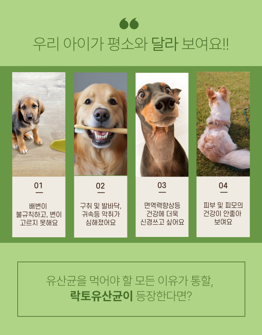 [무료배송] 가치두리 락토 생 유산균 펠릿 100g 2번째