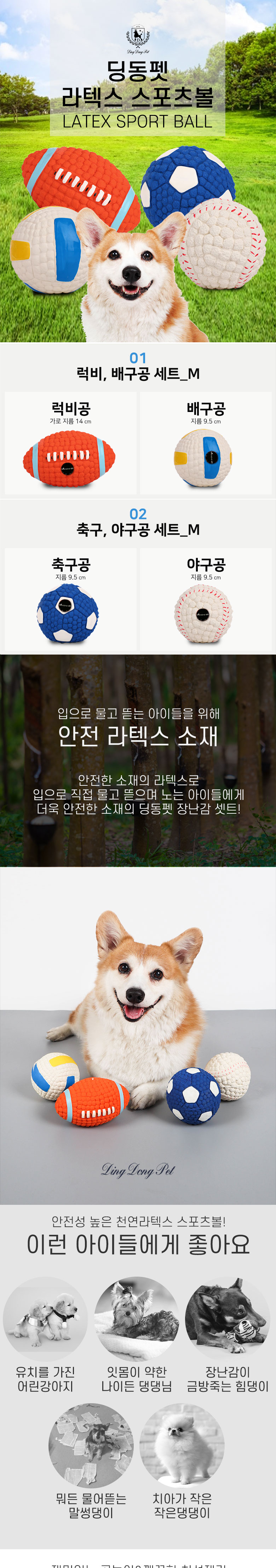 [무료배송] 딩동펫 반려동물 강아지 라텍스 스포츠볼 장난감 세트 M 1번째