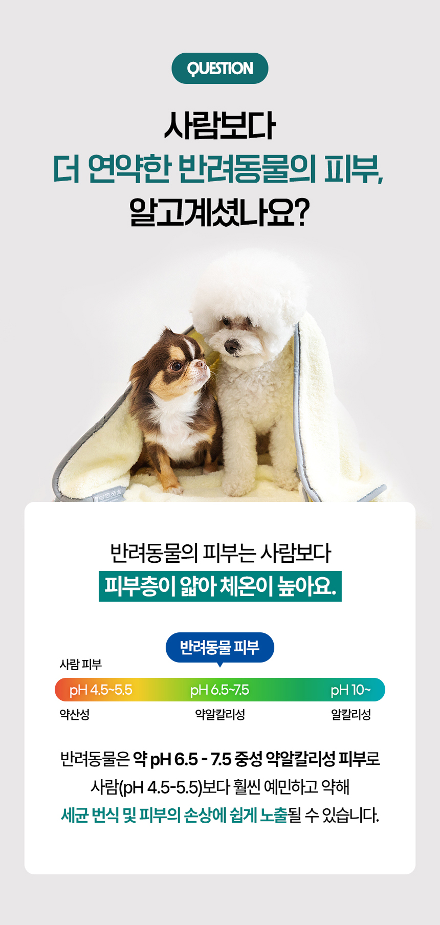 [무료배송] 초극세사 목욕 수건 이태리 마프라펫라인 2번째