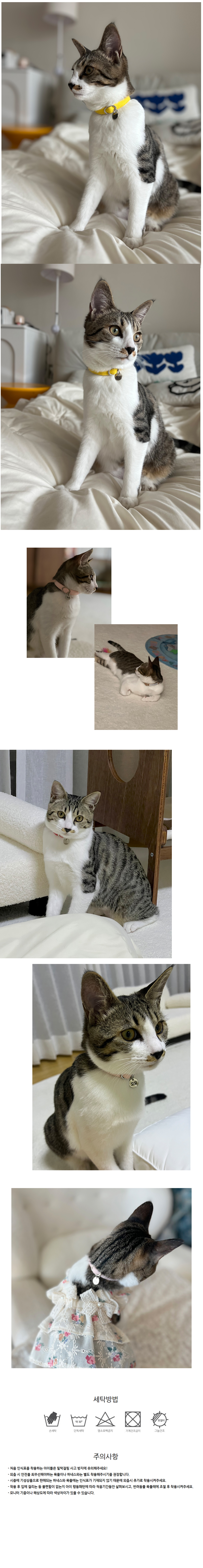 [NEW신상][무료배송] 레인보우스토리 일자 버클 인식표 17종 3번째