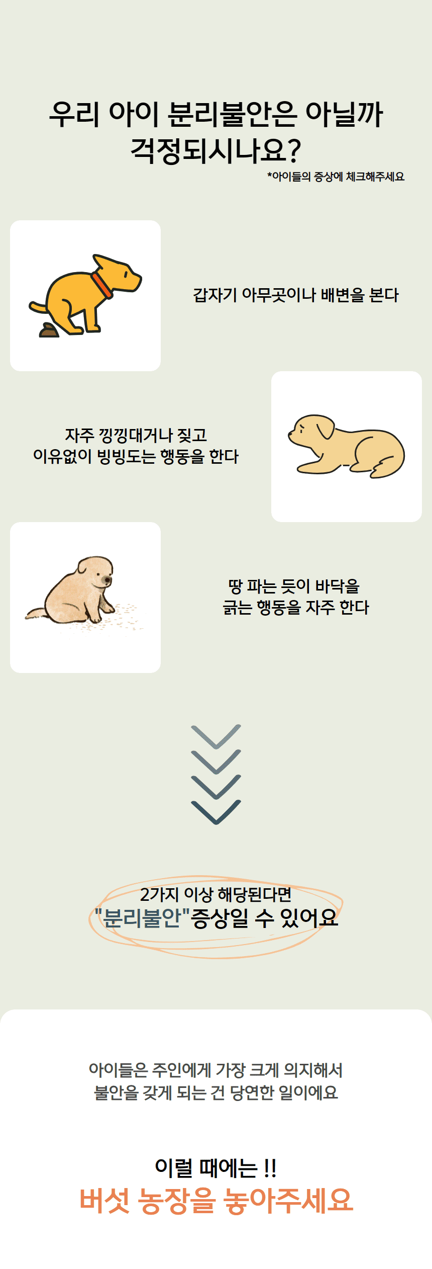 [NEW신상][무료배송] 노는 개 최고양 독 노즈워크 매트 60*80cm 버섯농장 5번째