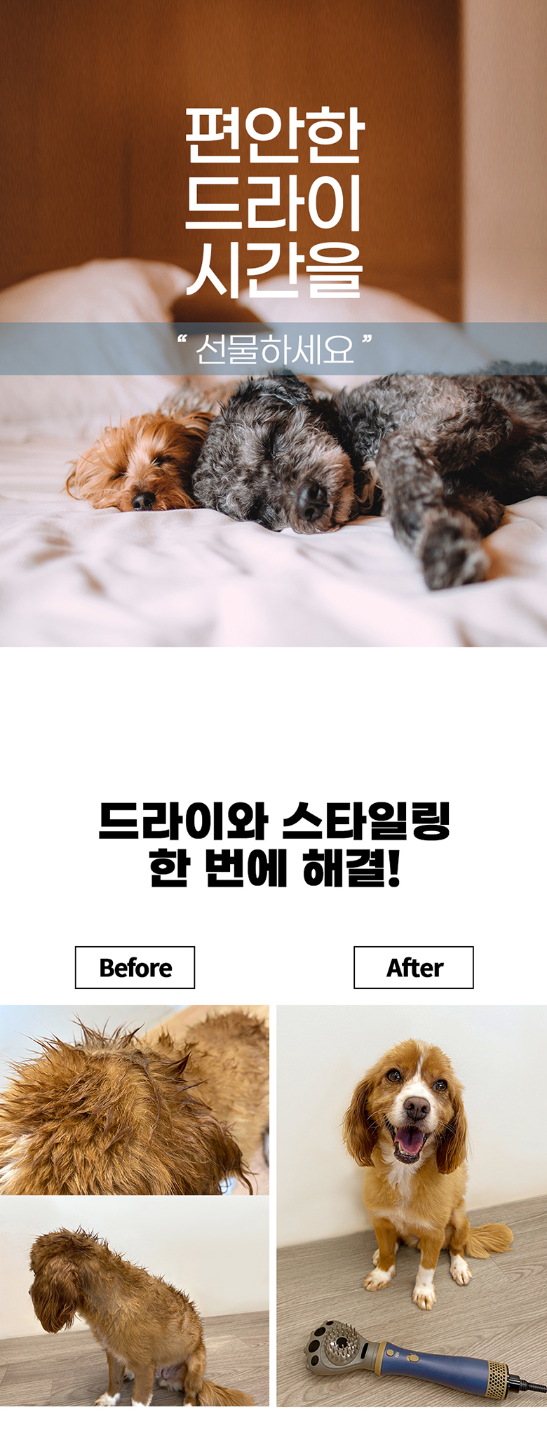 [NEW신상][무료배송] 헬로망치 제트 펫 드라이기 6번째