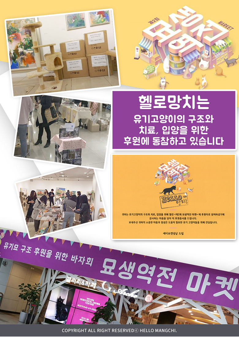 [NEW신상][무료배송] 헬로망치 제트 펫 드라이기 3번째