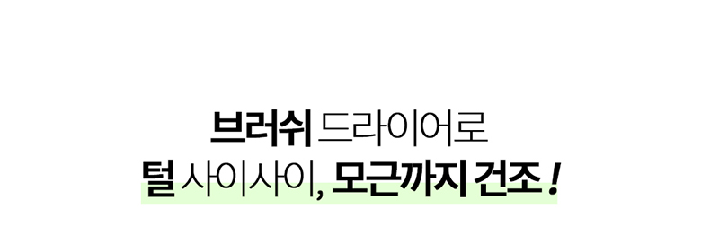 [NEW신상][무료배송] 헬로망치 제트 펫 드라이기 10번째