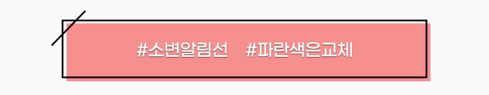 [무료배송] 리바펫 벨기에 엠펫츠 기저귀 암컷 특대형견 XL 40매 25번째
