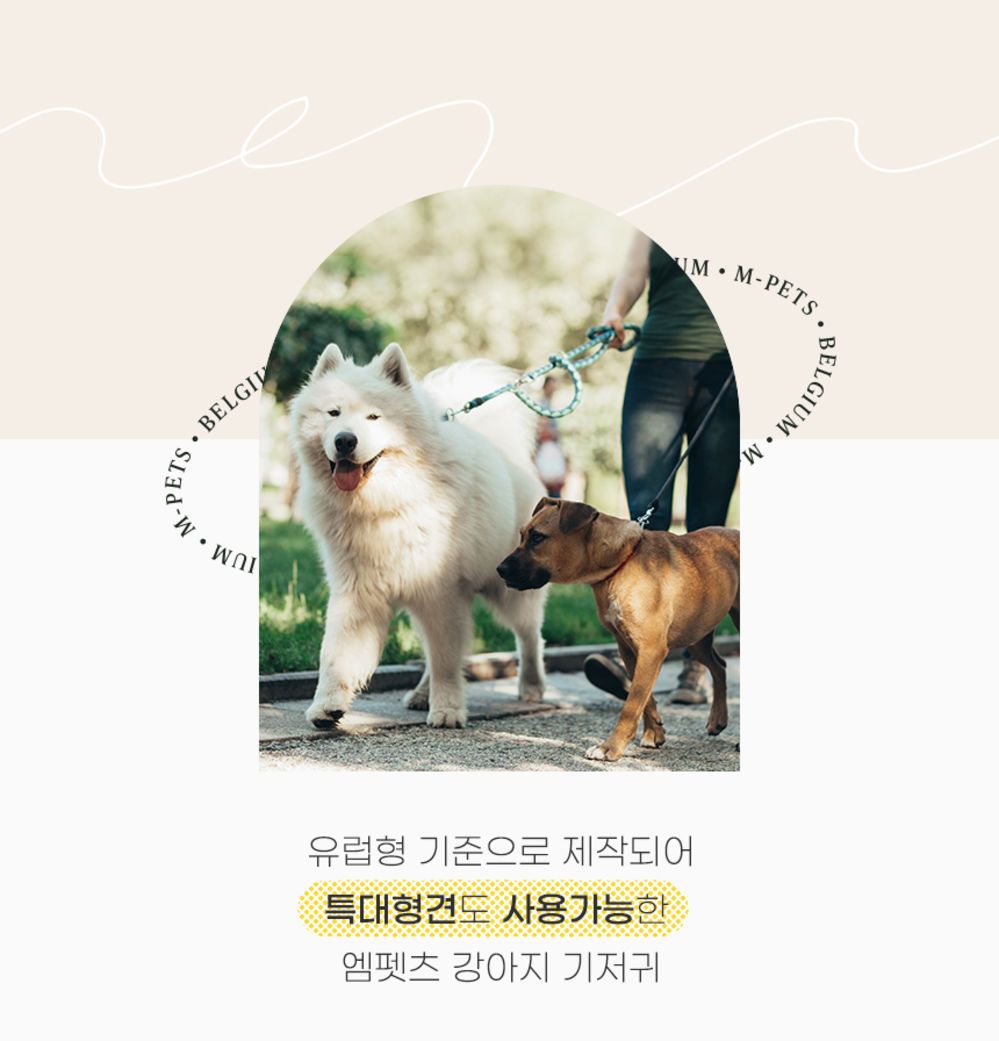 [무료배송] 리바펫 벨기에 엠펫츠 기저귀 암컷 특대형견 XL 40매 2번째