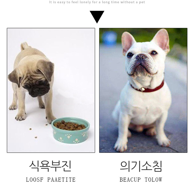 [무료배송] 쏘울펫 노즈워크 먹이통 블루/핑크 6번째