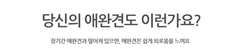 [무료배송] 쏘울펫 노즈워크 먹이통 블루/핑크 5번째