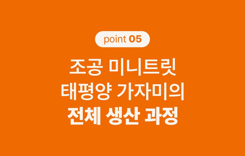 조공 미니트릿 태평양 가자미 55g 23번째