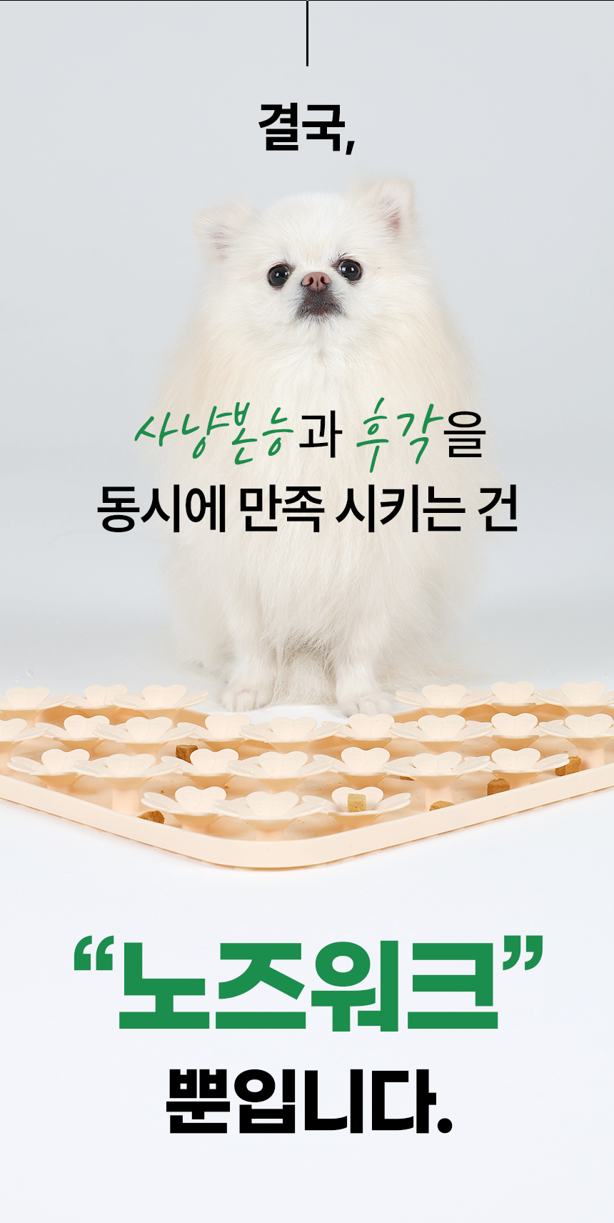 펫팀 새싹 노즈워크 매트 15번째
