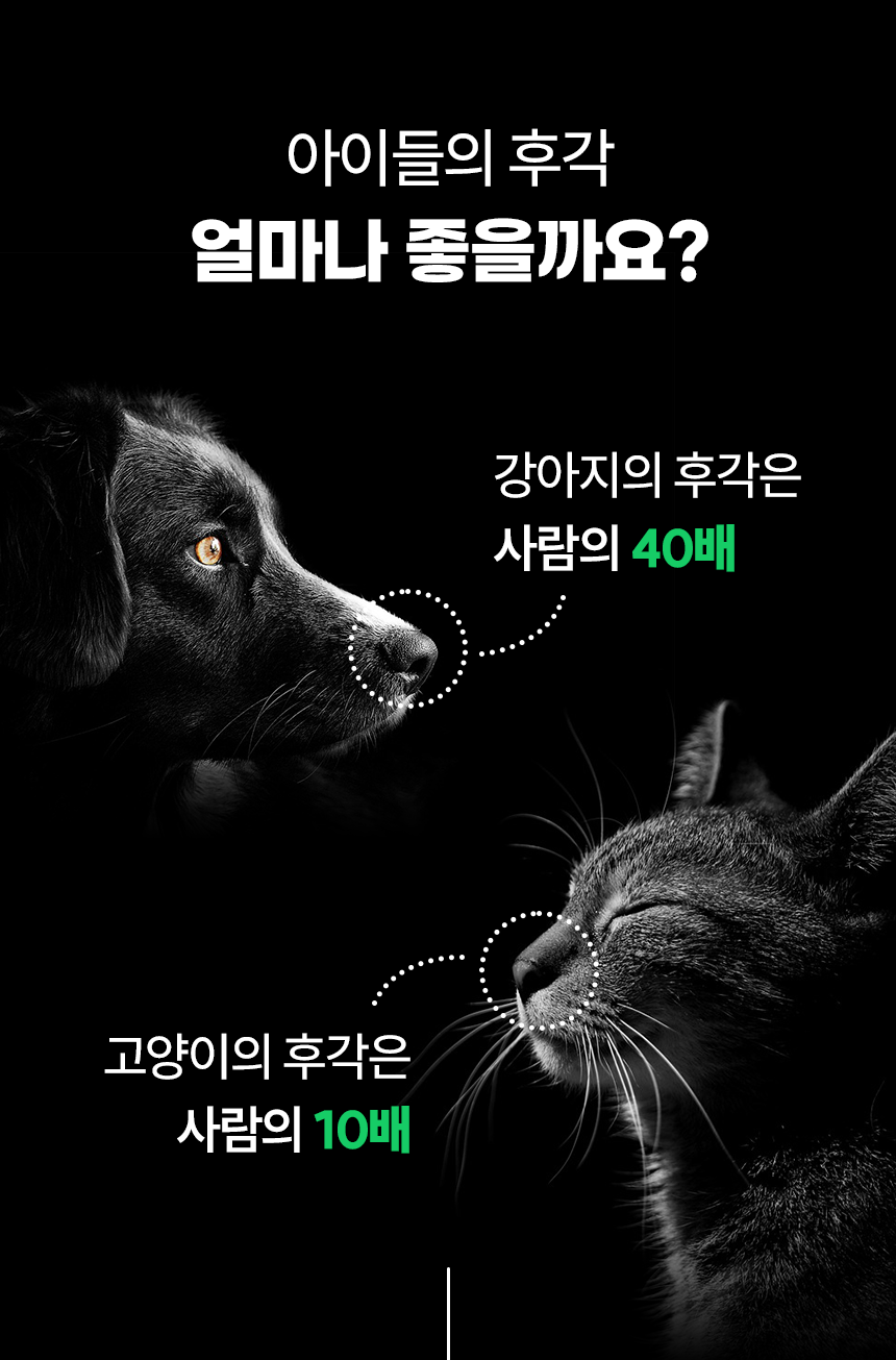 펫팀 새싹 노즈워크 매트 14번째