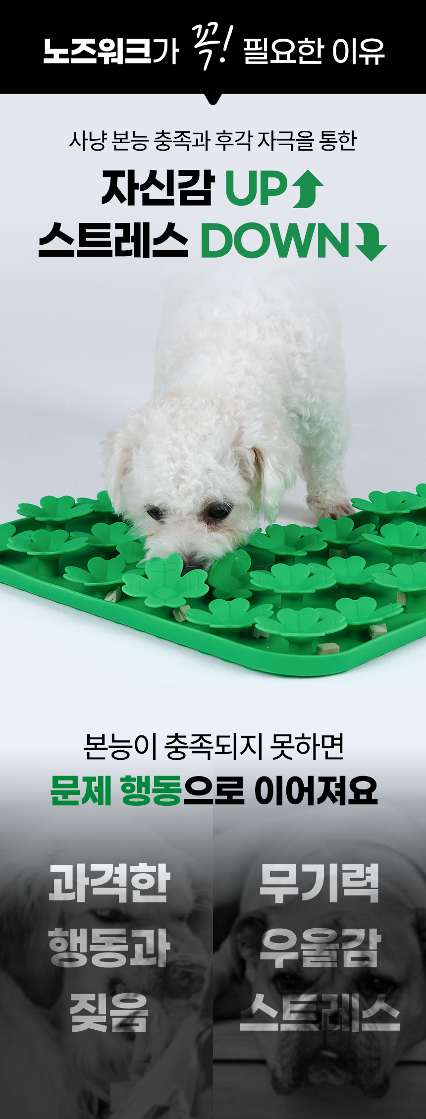 펫팀 새싹 노즈워크 매트 13번째