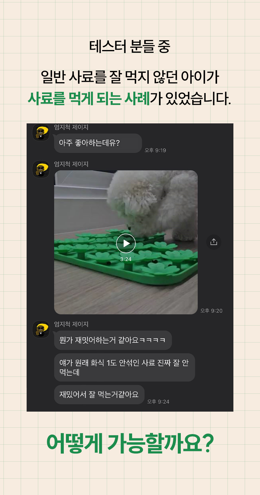 펫팀 새싹 노즈워크 매트 29번째
