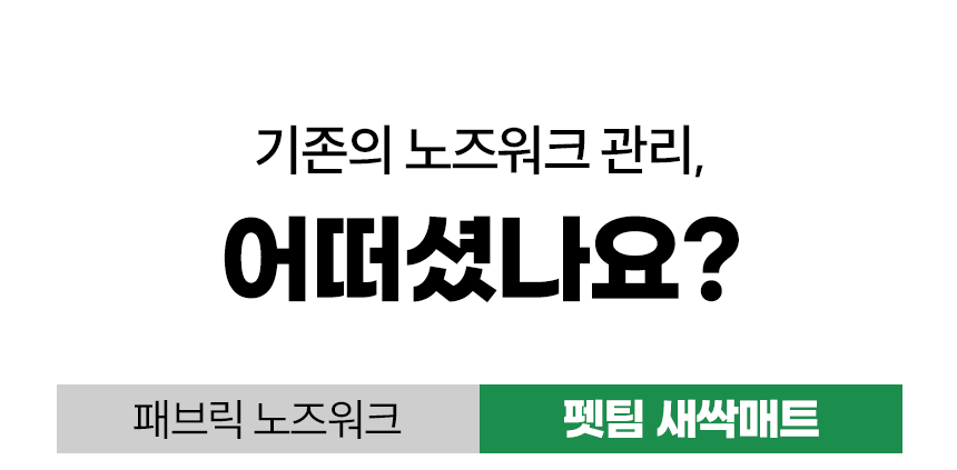 펫팀 새싹 노즈워크 매트 51번째