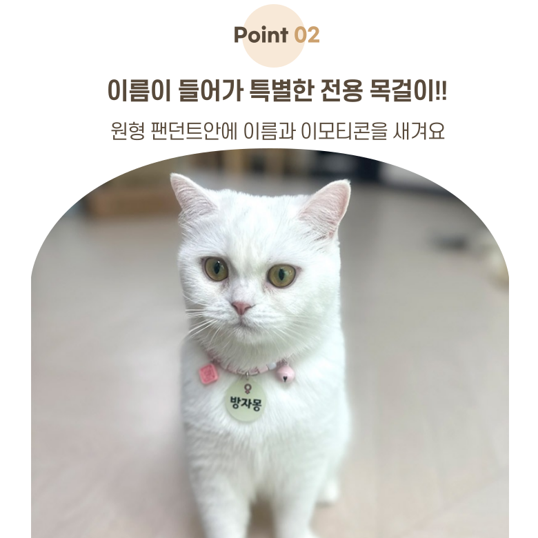 [NEW신상][무료배송] 아름블링 캣 야광 목걸이 이름표 5color 4번째