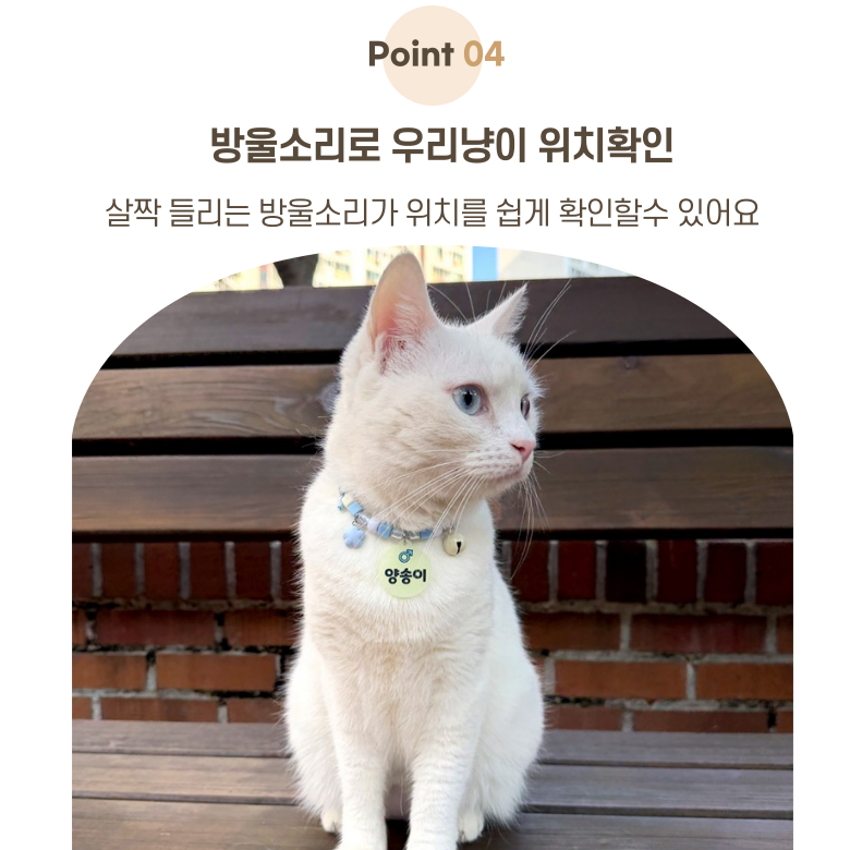 [NEW신상][무료배송] 아름블링 캣 야광 목걸이 이름표 5color 6번째