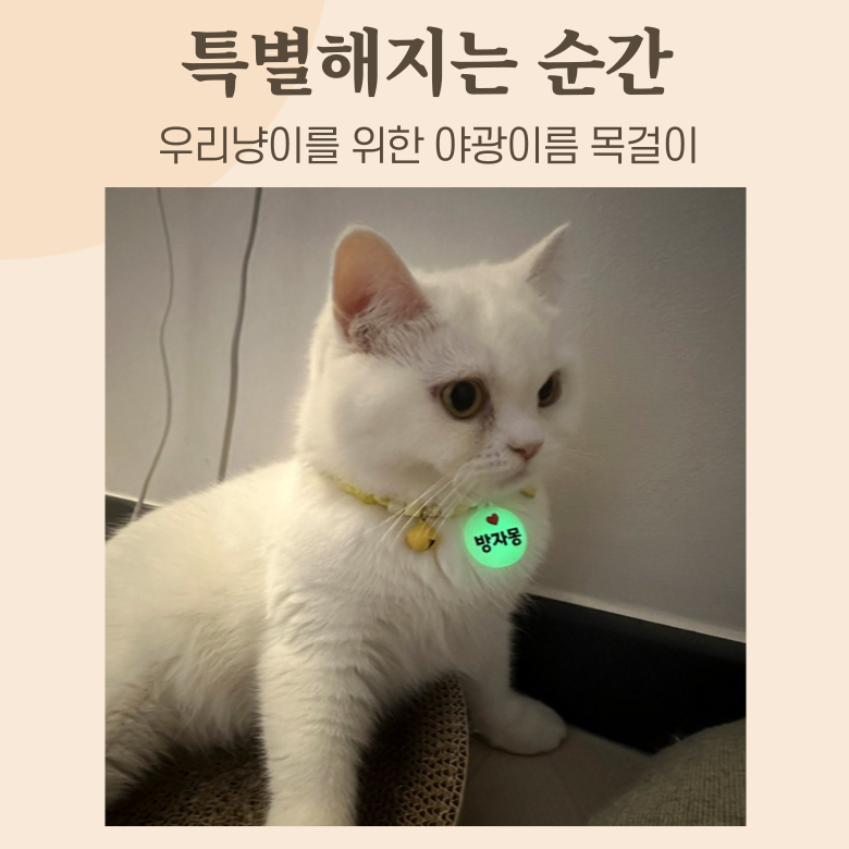 [NEW신상][무료배송] 아름블링 캣 야광 목걸이 이름표 5color 2번째