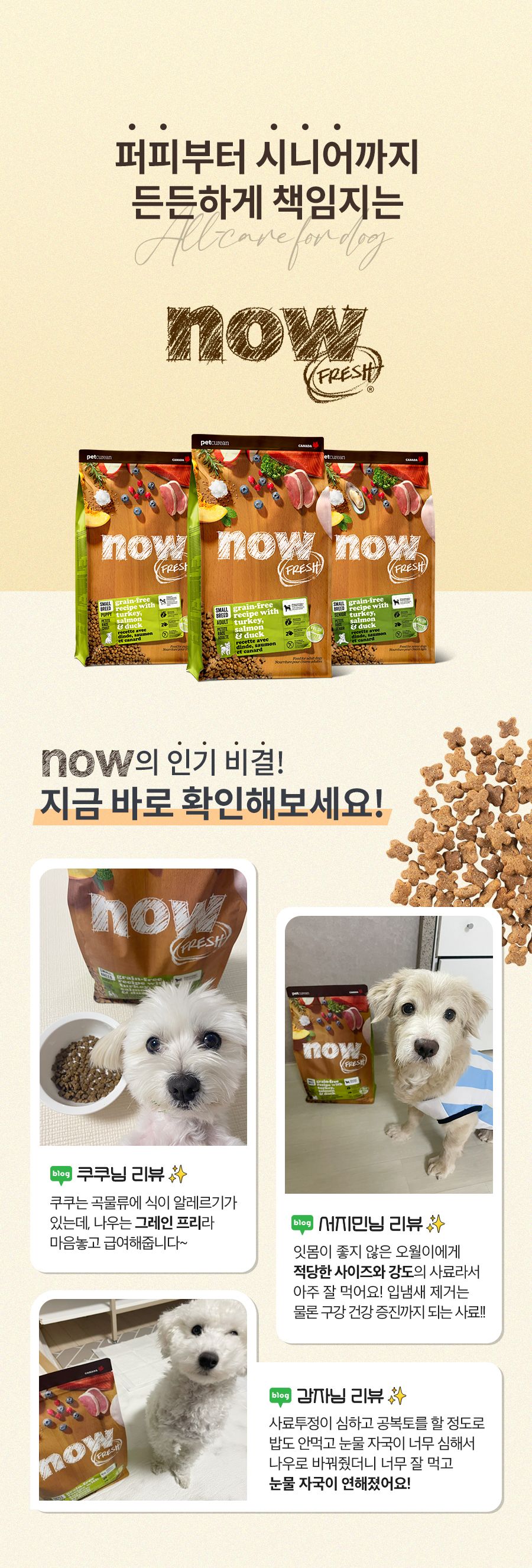 [심쿵펫페어][추가증정] now 독 프레쉬 올브리드 어덜트 피쉬 레시피 9.9kg + 어덜트 120g 증정  1번째