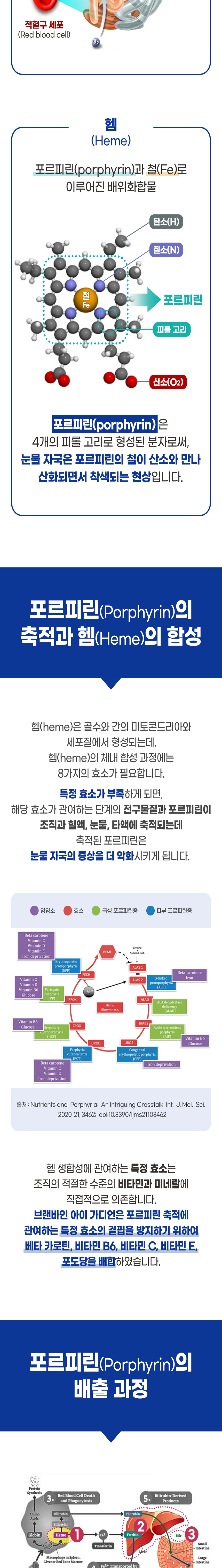 [무료배송] 브랜바인 독 아이가디언 눈영양제 A타입 90일분 4번째