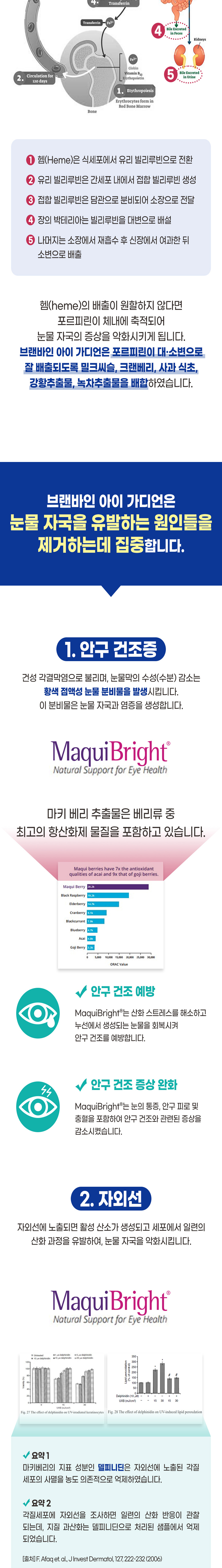 [무료배송] 브랜바인 독 아이가디언 눈영양제 A타입 90일분 5번째
