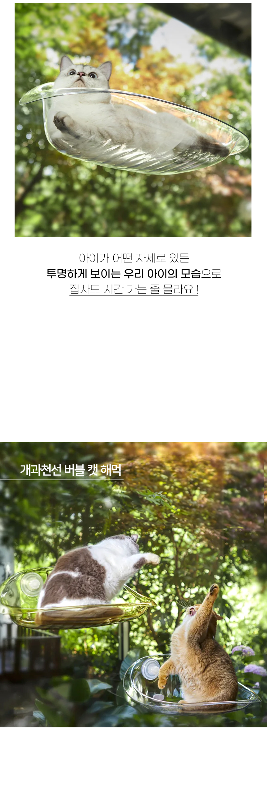 [NEW신상][무료배송] 개과천선 캣 버블 해먹 침대 6번째