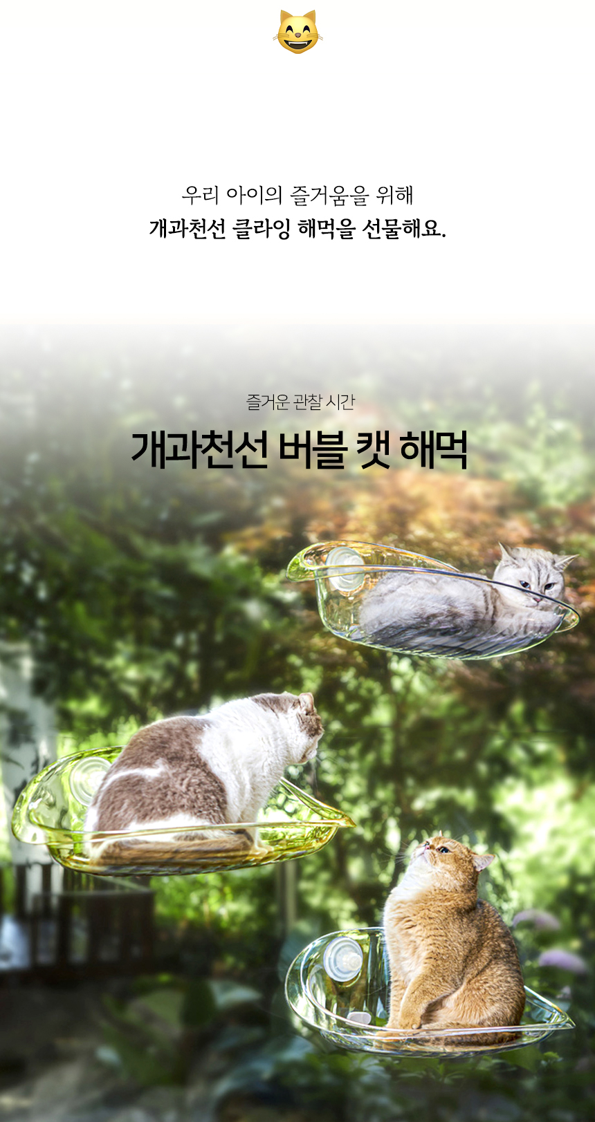 [NEW신상][무료배송] 개과천선 캣 버블 해먹 침대 2번째