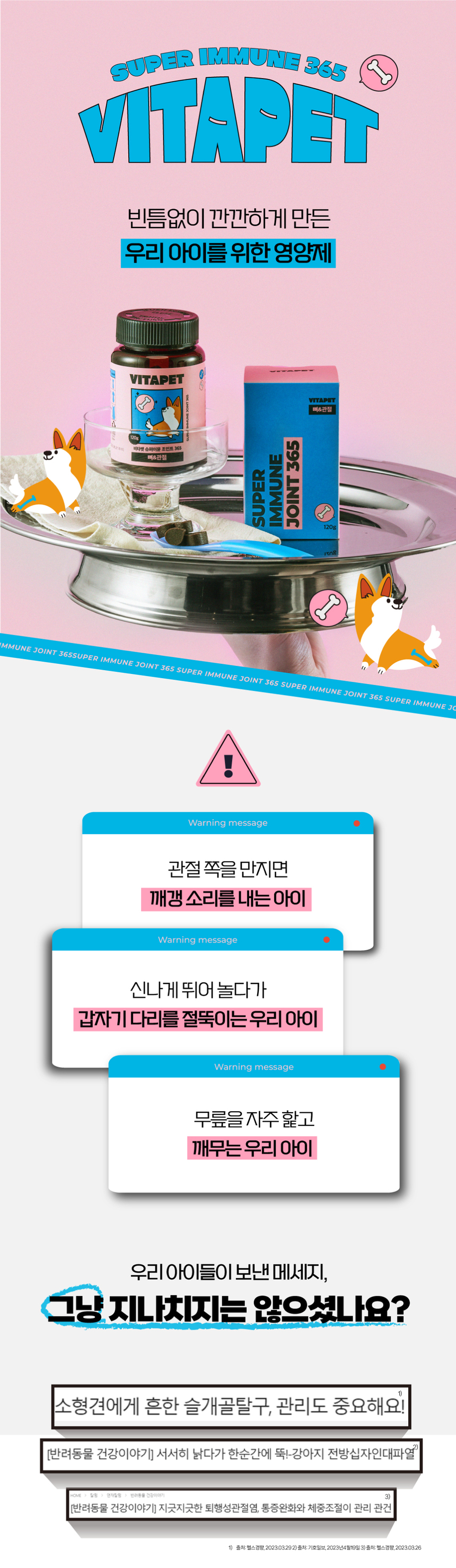 비타펫 독 콘드로이친&보스웰리아 관절 영양제 90일분 120g 1번째
