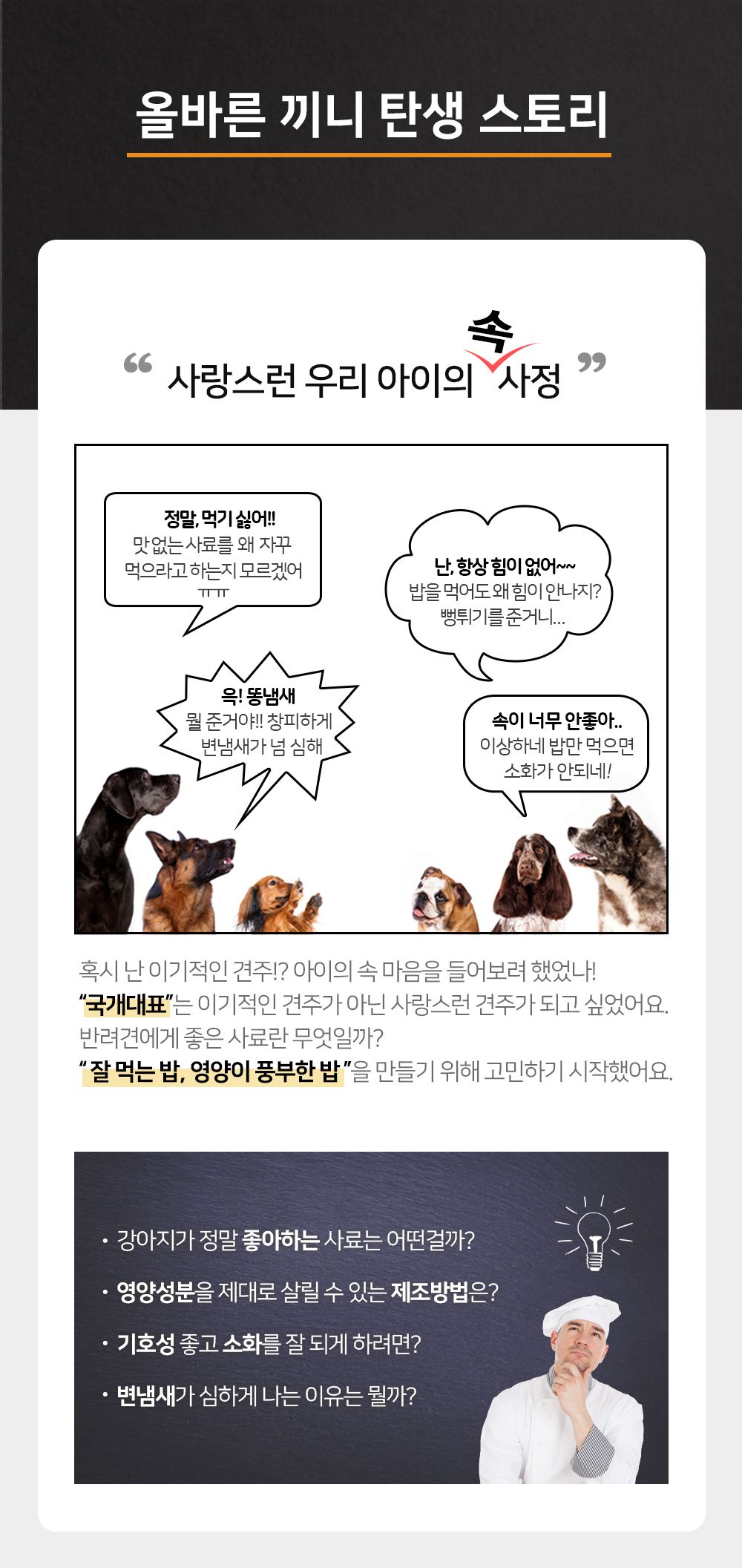 올바른끼니 독 플러스 연어&칠면조 피모건강 1.2kg 10번째