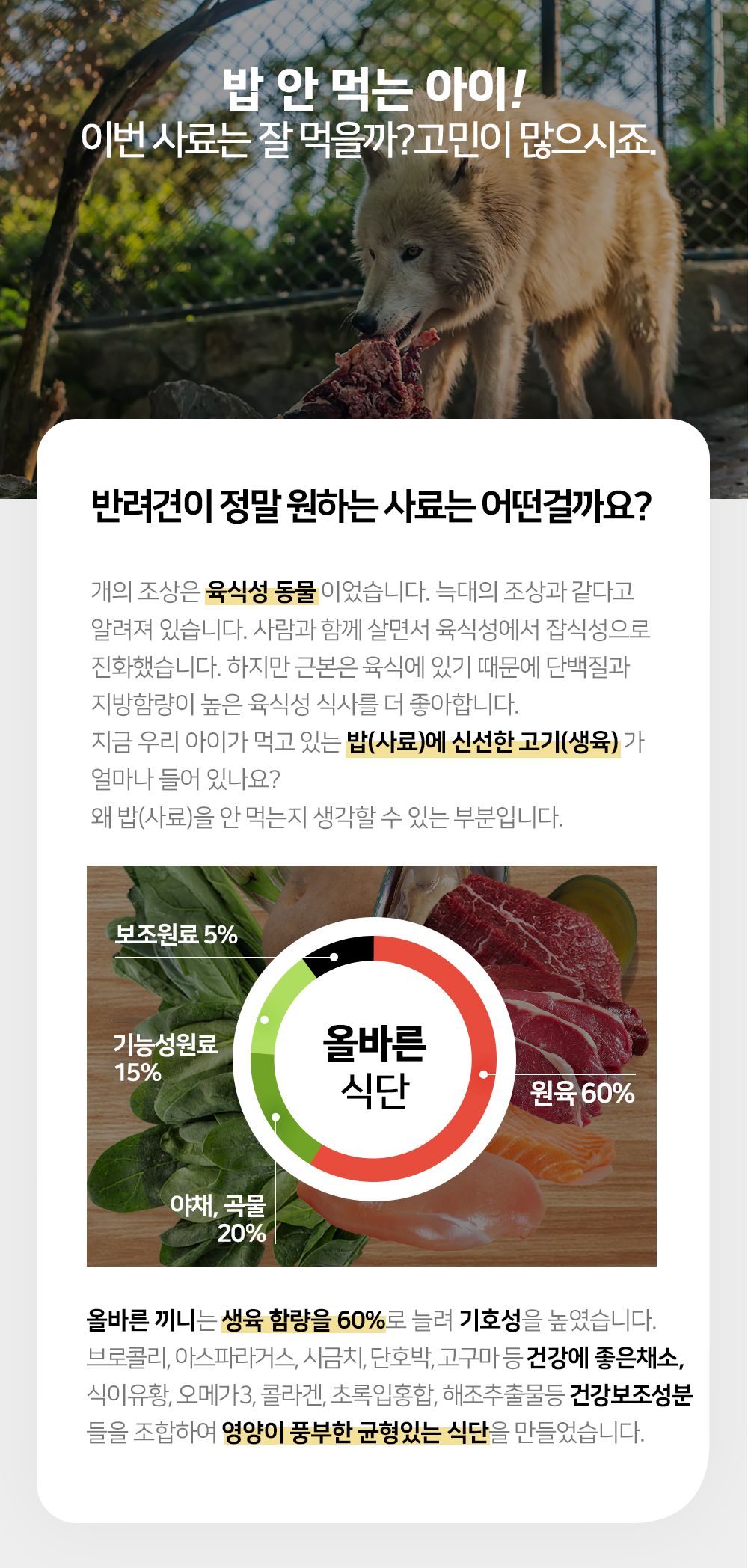 올바른끼니 독 플러스 연어&칠면조 피모건강 1.2kg 11번째