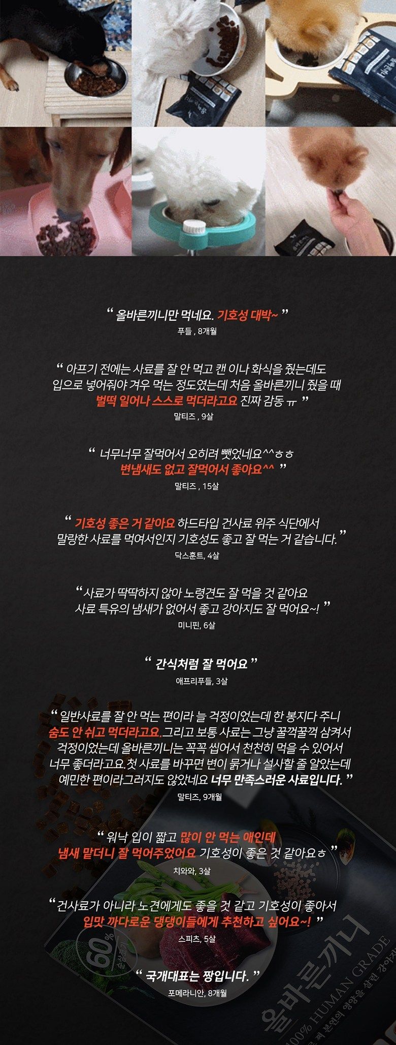 올바른끼니 독 플러스 연어&칠면조 피모건강 1.2kg 9번째