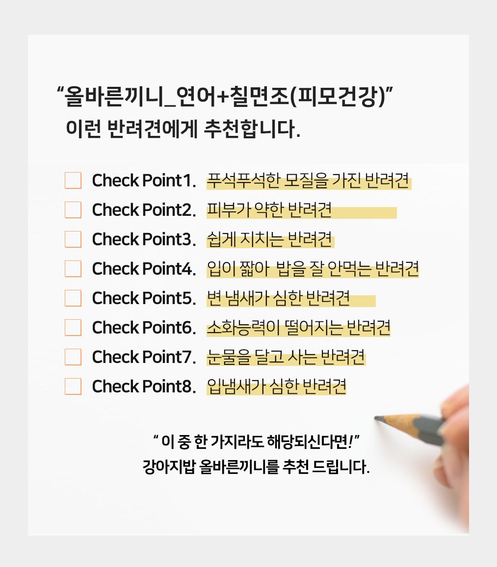 올바른끼니 독 플러스 연어&칠면조 피모건강 1.2kg 2번째