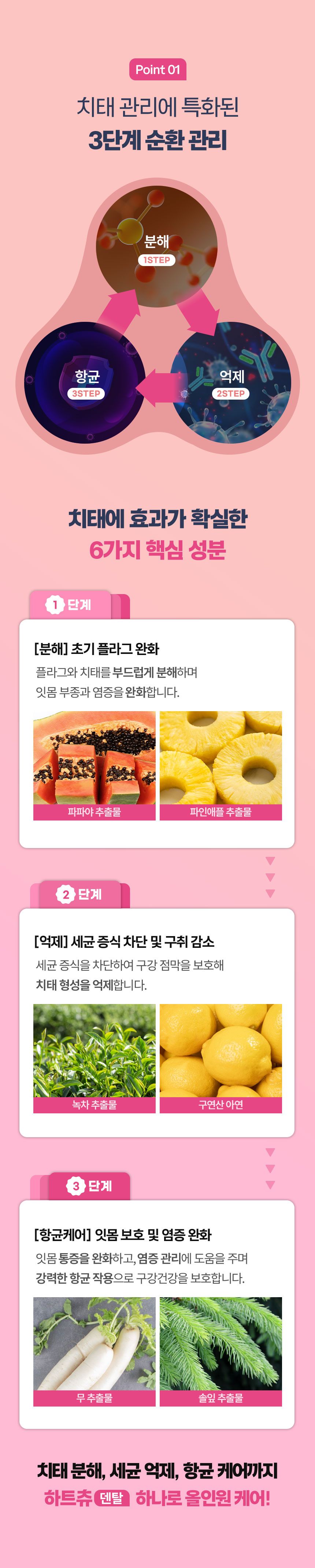 [무료배송] 닥터벳 하트츄 덴탈 치아 잇몸 영양제 30정 4번째