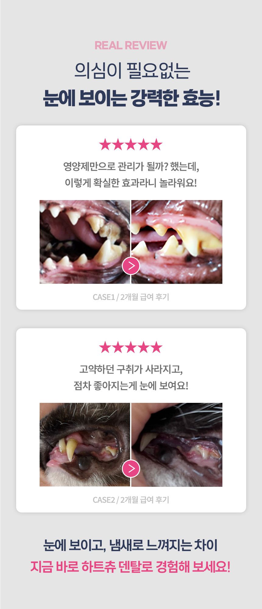 [무료배송] 닥터벳 하트츄 덴탈 치아 잇몸 영양제 30정 1번째