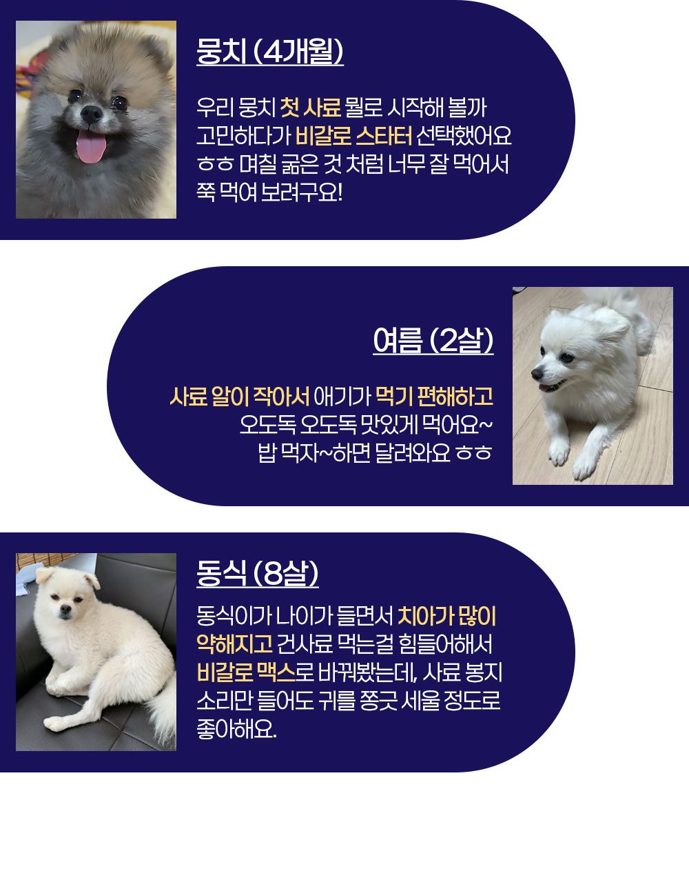 [체험단] 비갈로 스페셜 독 어덜트 샘플 50g 3번째