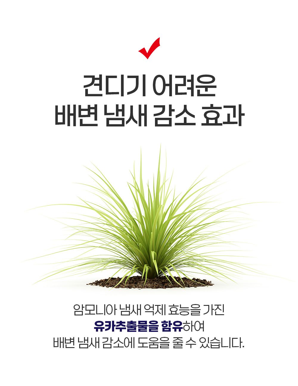 [체험단] 비갈로 스페셜 독 어덜트 샘플 50g 8번째
