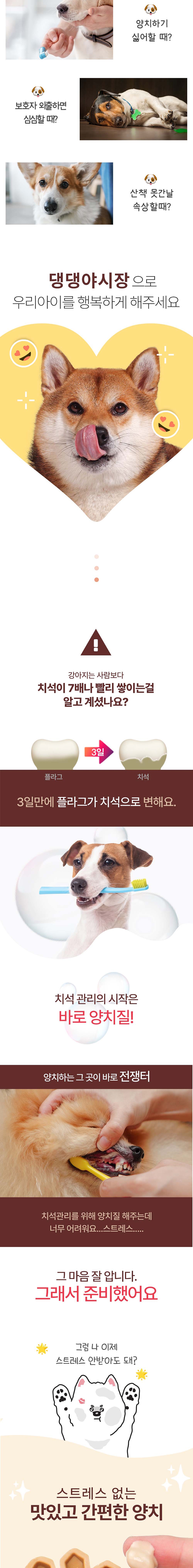 [무료배송] 펫투데이 댕댕야시장 감자튀김 덴탈껌 120g 3번째