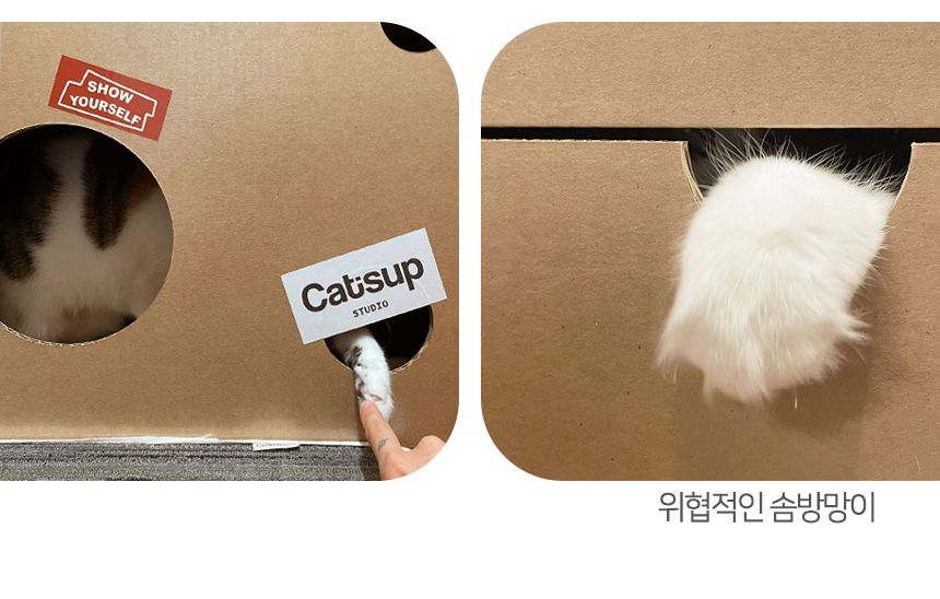 [체험단] [무료배송] 페이퍼팝 캣 보야지 for cat 종이집 숨숨집 하우스 트렁크35 크라프트 무코팅 11번째