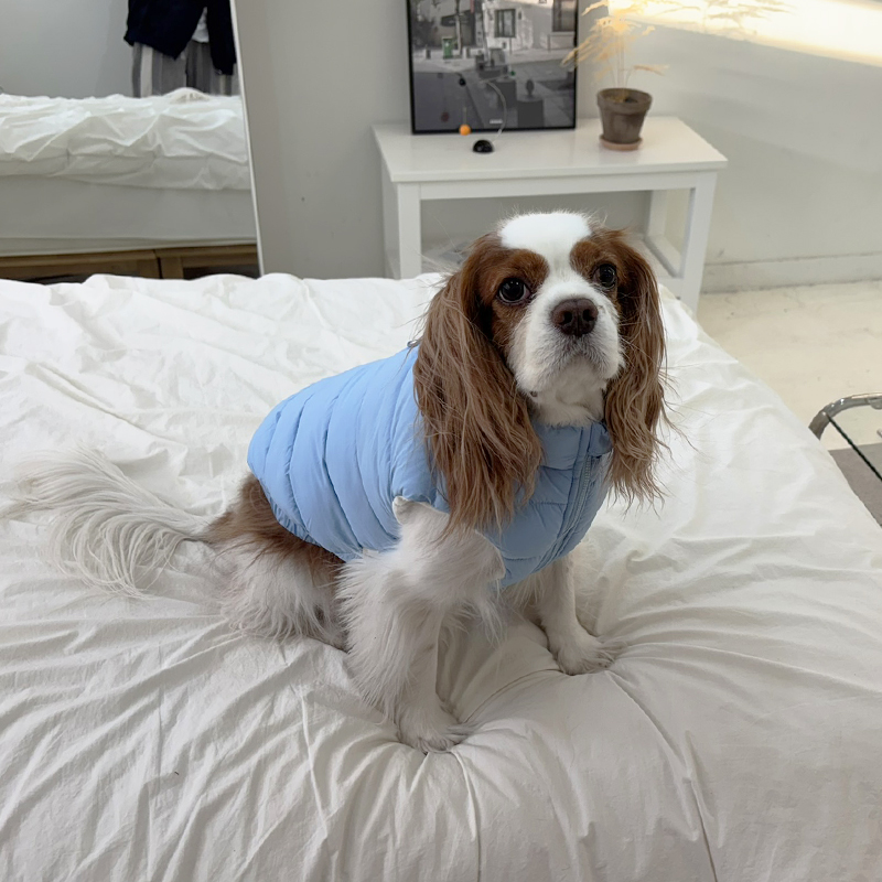 [무료배송] 해피댕댕 빵빵패딩조끼 S-2XL 9번째
