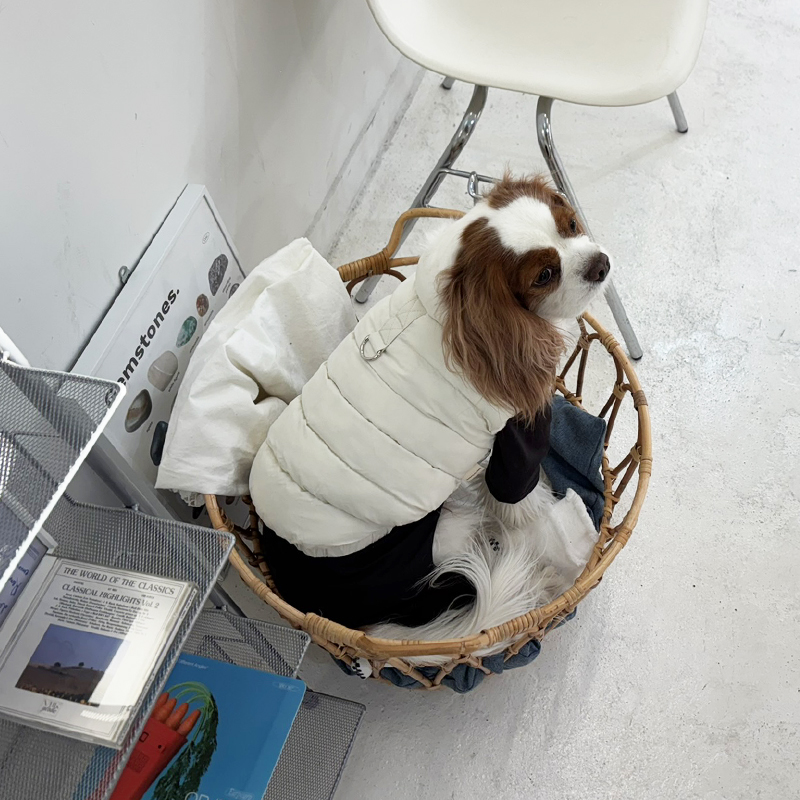 [무료배송] 해피댕댕 빵빵패딩조끼 S-2XL 5번째