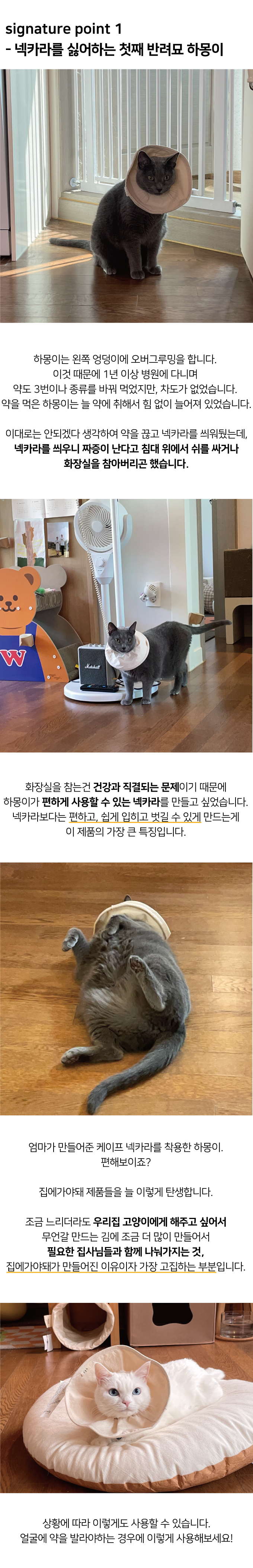 집에가야돼 고양이 케이프 넥카라 5번째