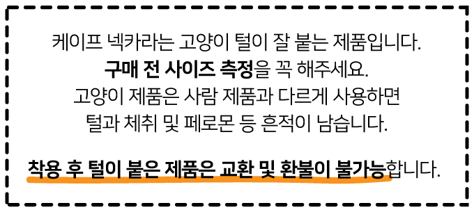 집에가야돼 고양이 케이프 넥카라 1번째