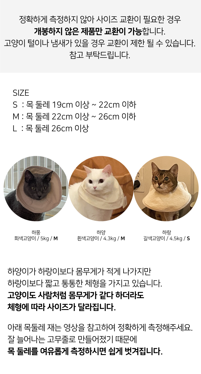 집에가야돼 고양이 케이프 넥카라 3번째
