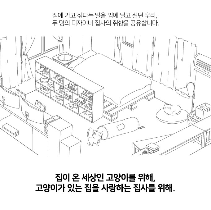 집에가야돼 고양이 케이프 넥카라 2번째