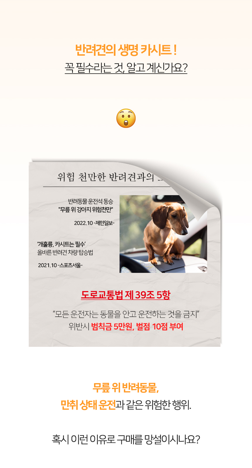 [NEW신상][무료배송] 개과천선 독 카일 콘솔 카시트 (모카 베이지/멜란지 그레이) 2번째