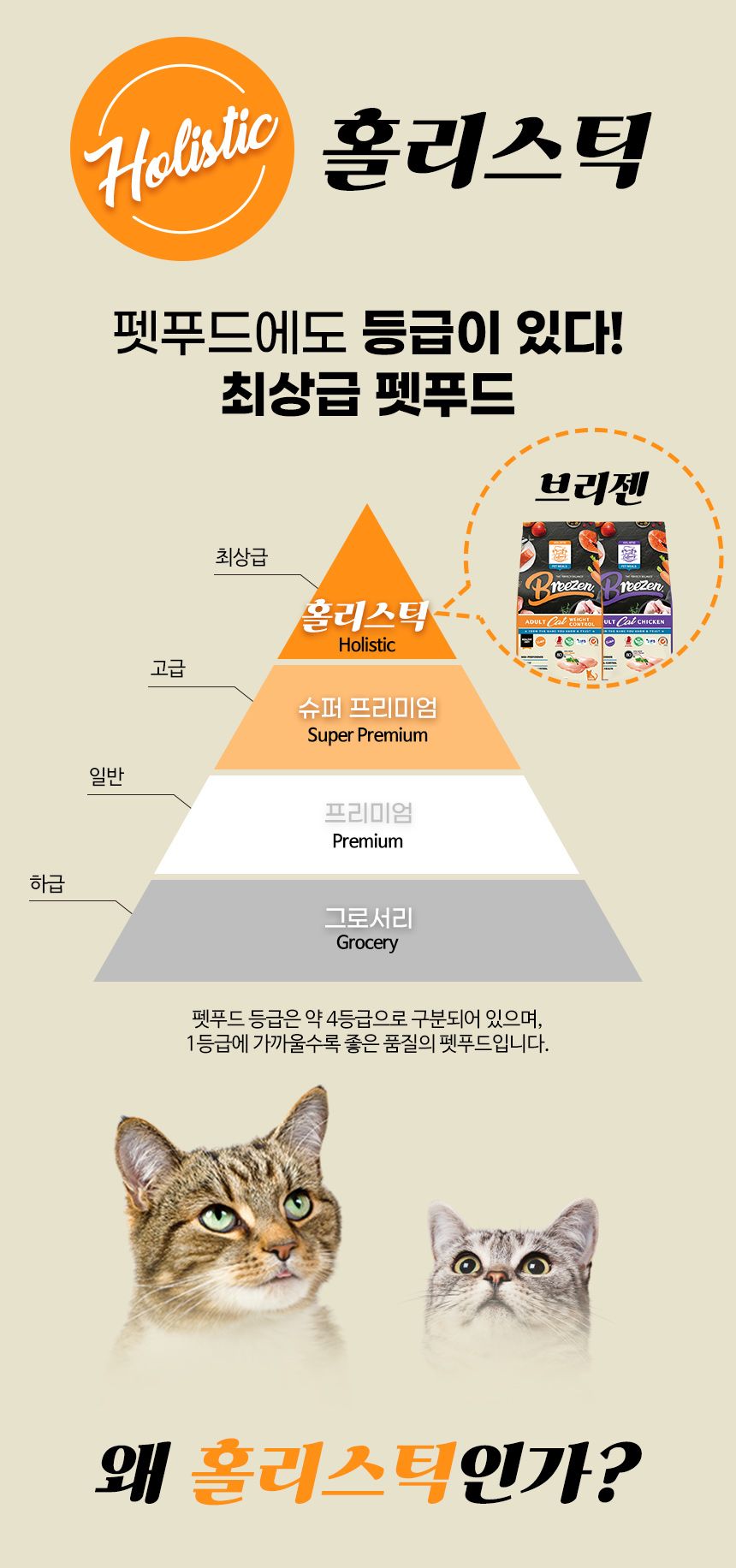 브리젠 캣 어덜트 치킨 1.36kg 21번째