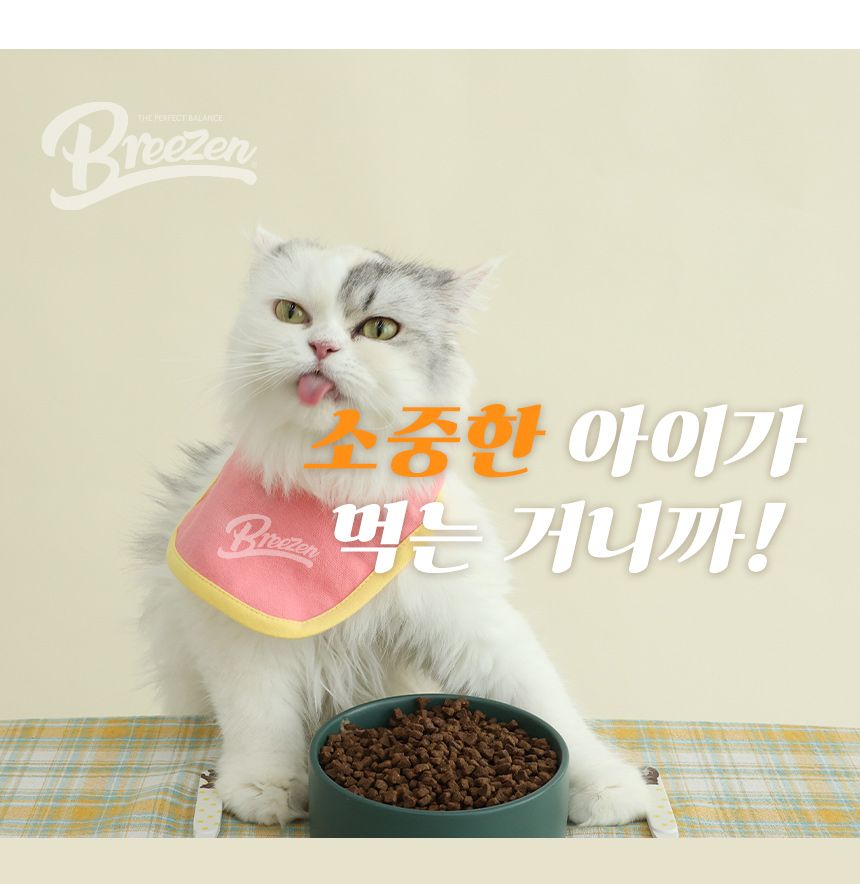 브리젠 캣 어덜트 치킨 1.36kg 20번째