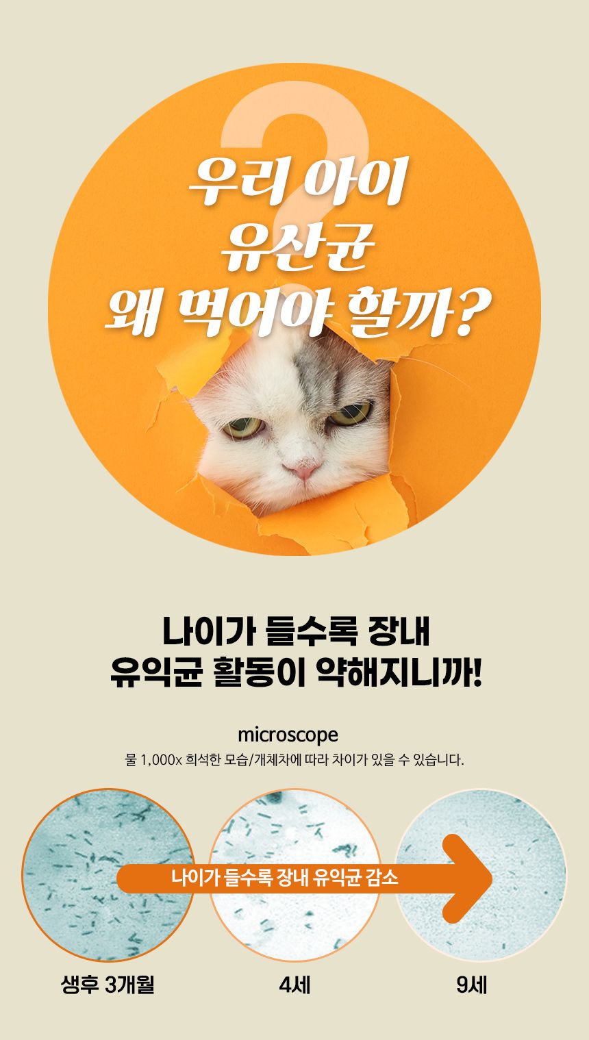 브리젠 캣 어덜트 치킨 1.36kg 8번째